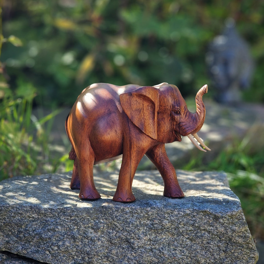 Elefant aus Suar Holz in der Natur