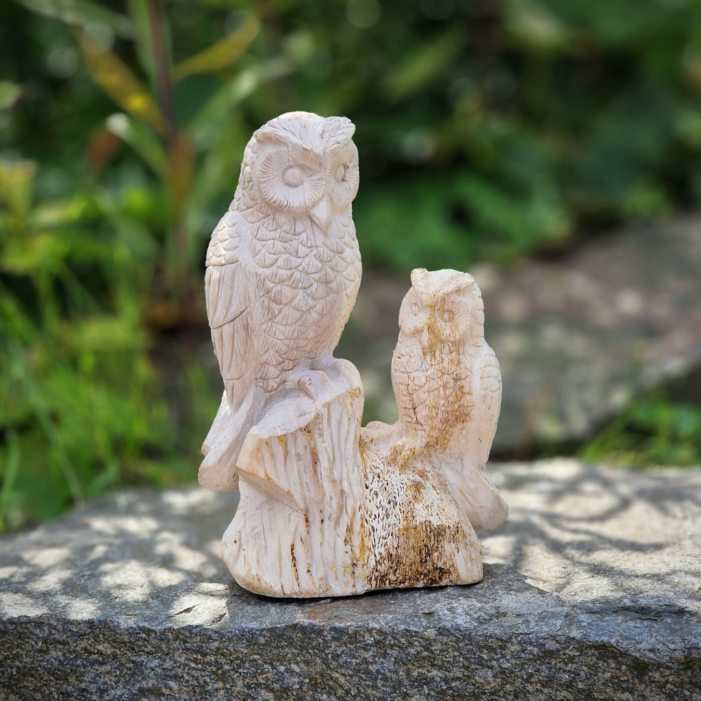 handgemachte versteinerte fossile Holz XL Skulptur Deko Figur Eule mit Kind Eulenpaar 1,6 Kg Edelstein Indonesien