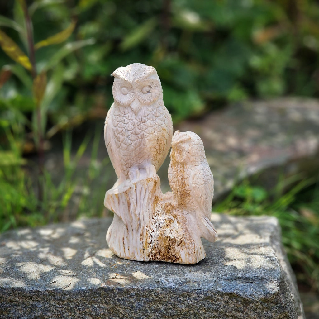 handgemachte versteinerte fossile Holz XL Skulptur Deko Figur Eule mit Kind Eulenpaar 1,6 Kg Edelstein Indonesien