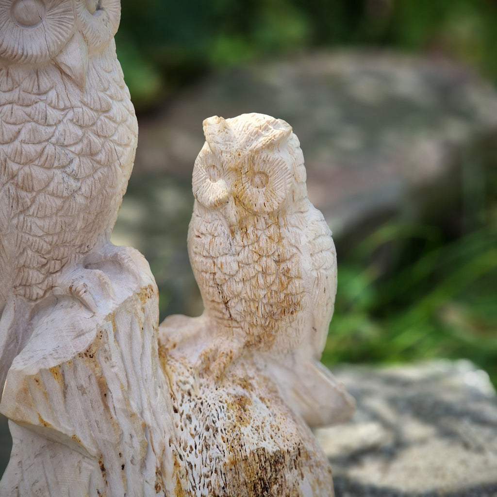 handgemachte versteinerte fossile Holz XL Skulptur Deko Figur Eule mit Kind Eulenpaar 1,6 Kg Edelstein Indonesien