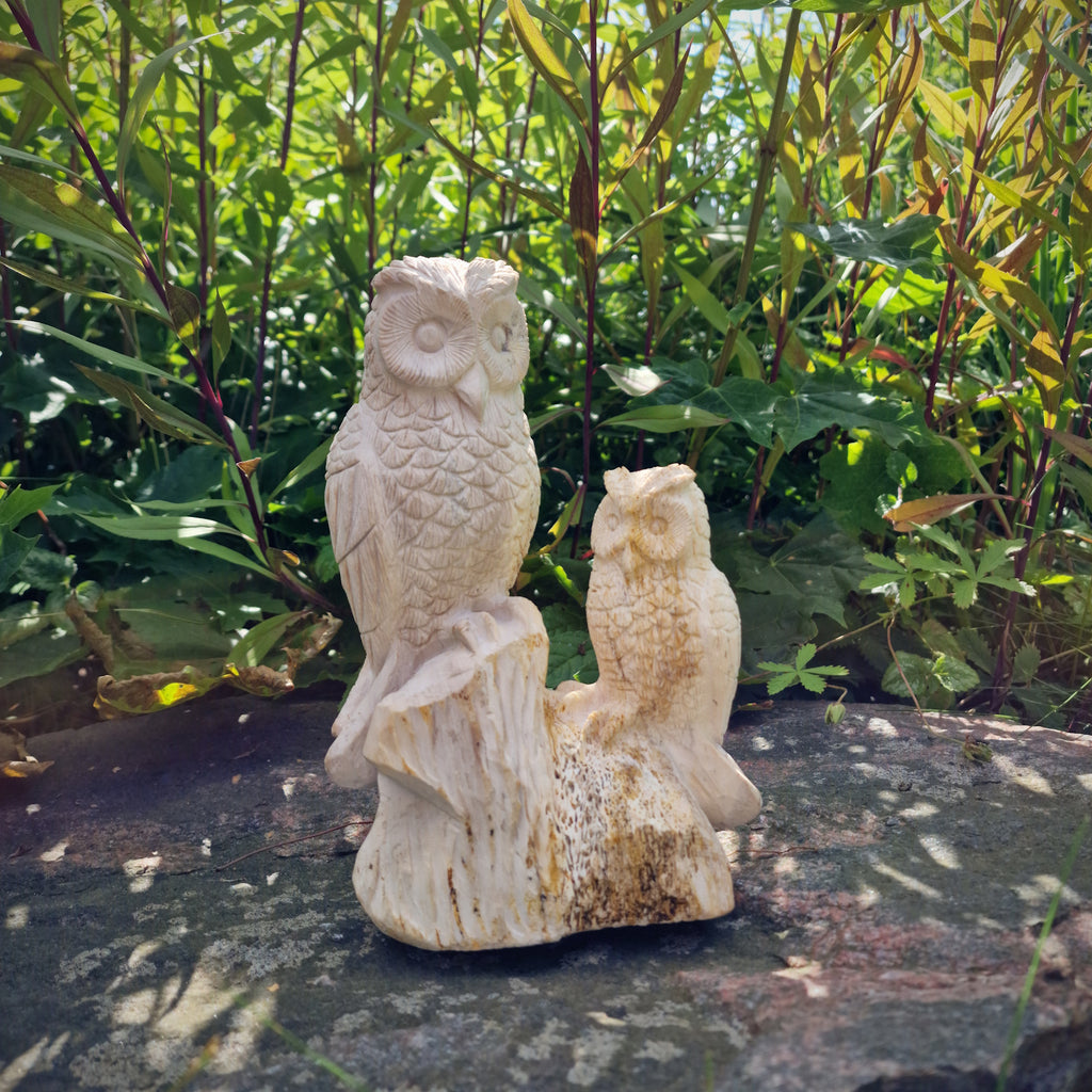 handgemachte versteinerte fossile Holz XL Skulptur Deko Figur Eule mit Kind Eulenpaar 1,6 Kg Edelstein Indonesien