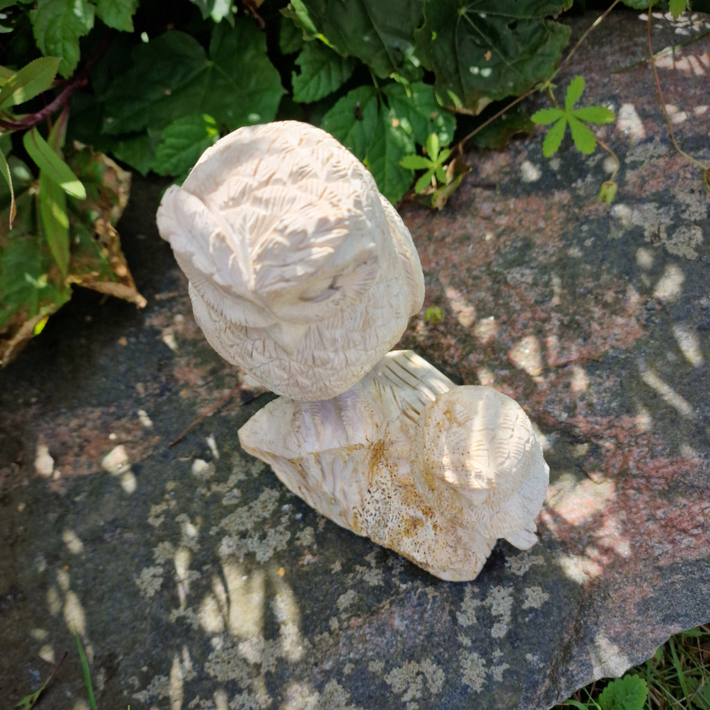 handgemachte versteinerte fossile Holz XL Skulptur Deko Figur Eule mit Kind Eulenpaar 1,6 Kg Edelstein Indonesien