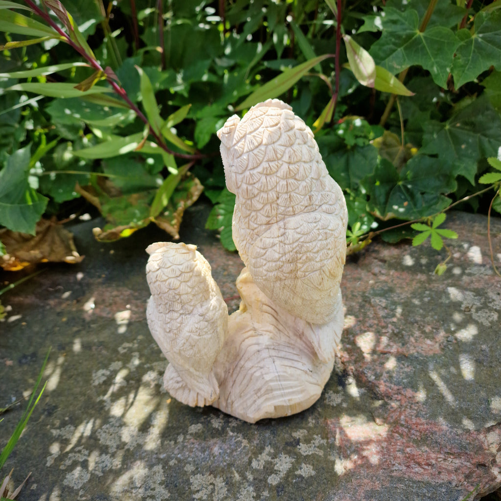 handgemachte versteinerte fossile Holz XL Skulptur Deko Figur Eule mit Kind Eulenpaar 1,6 Kg Edelstein Indonesien