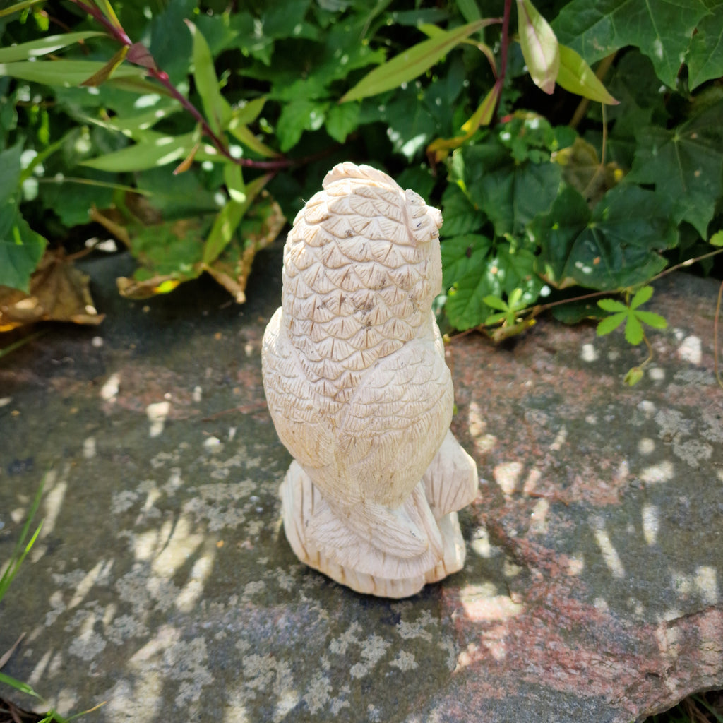 handgemachte versteinerte fossile Holz XL Skulptur Deko Figur Eule mit Kind Eulenpaar 1,6 Kg Edelstein Indonesien